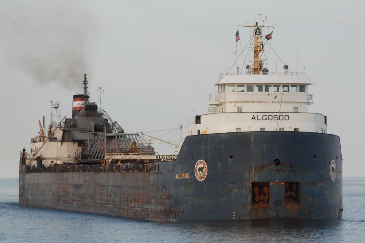 Algosoo (2)